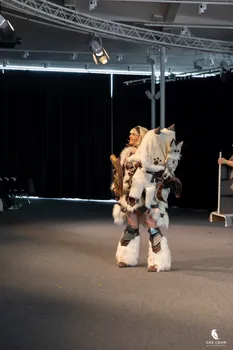 Copyright : Michael Bally